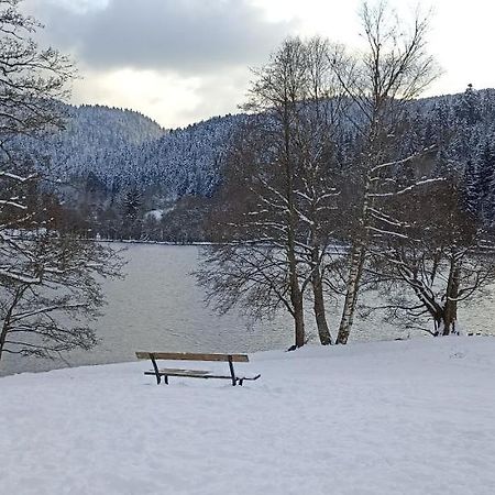 A 2 Pas Du Lac Apartment Ксонруп-Лонжеме Екстериор снимка