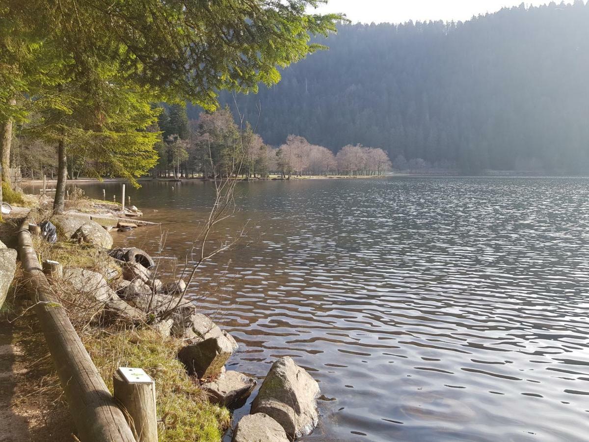 A 2 Pas Du Lac Apartment Ксонруп-Лонжеме Екстериор снимка